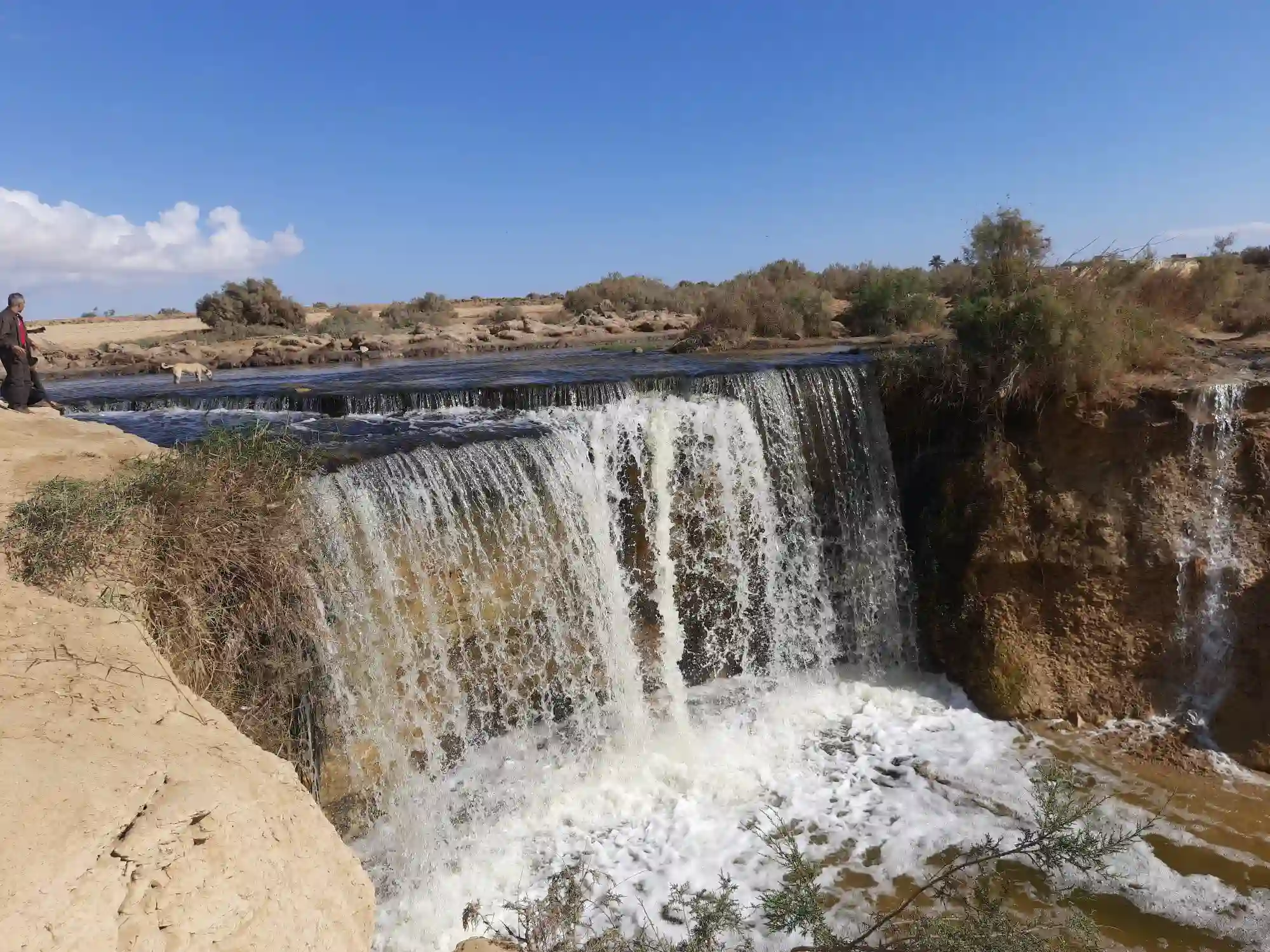 Overday Safari Daytour To Fayoum Oasis